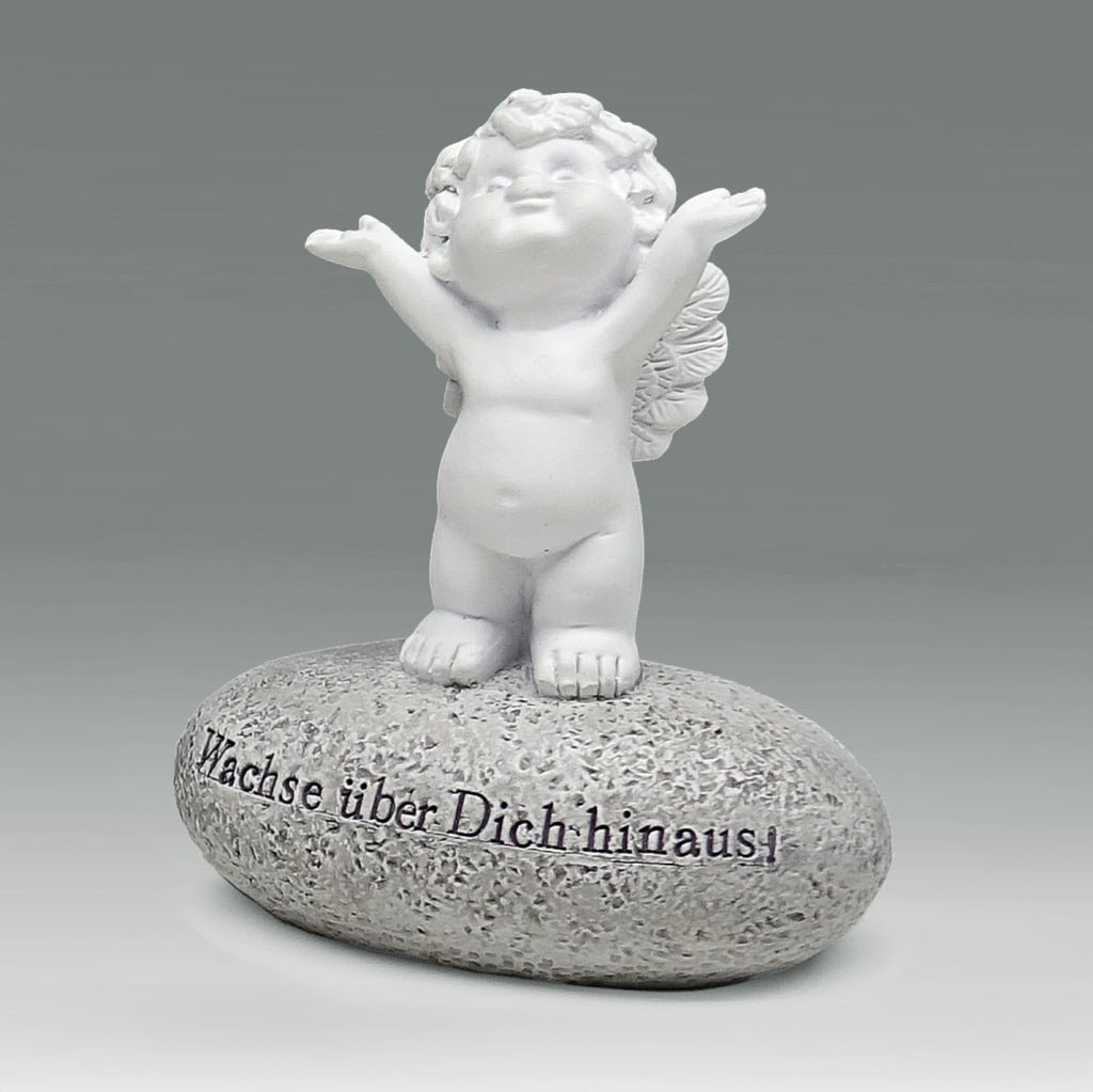 Igor auf Stein mit Spruch - Wachse über Dich hinaus!